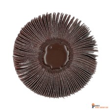 nortonschleifmittel/NORTON_schleifmittel_69957360916 Spindle Flap Wheels Norton BDX 80x50.00x6mm SK_C_ GRIT 80_138106